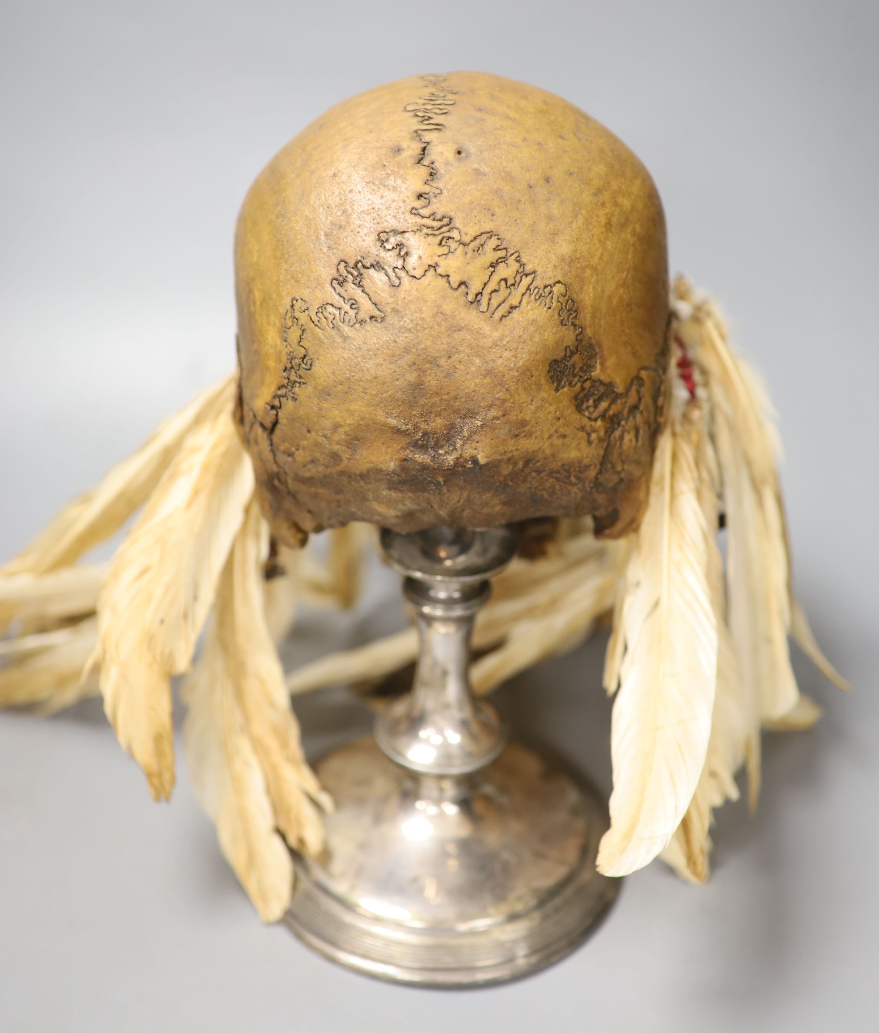 An Asmat ancestral skull, with beaded eyes and feather head-dress on stand